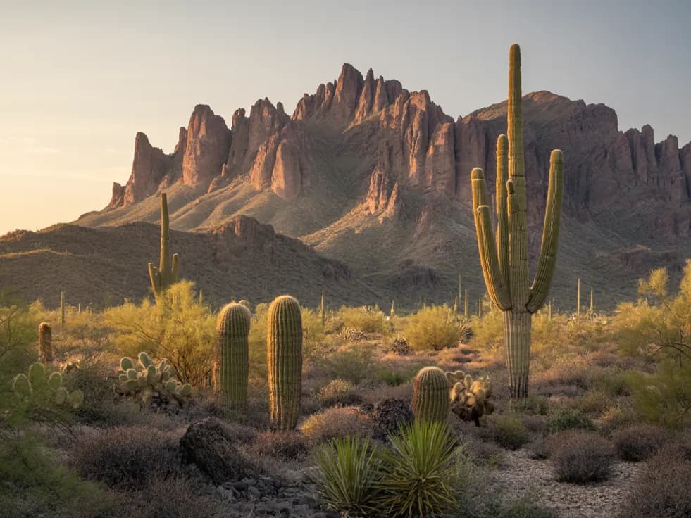 The Superstition Mountains at golden hour, seen across saguaro and palo verde in Arizona's East Valley
